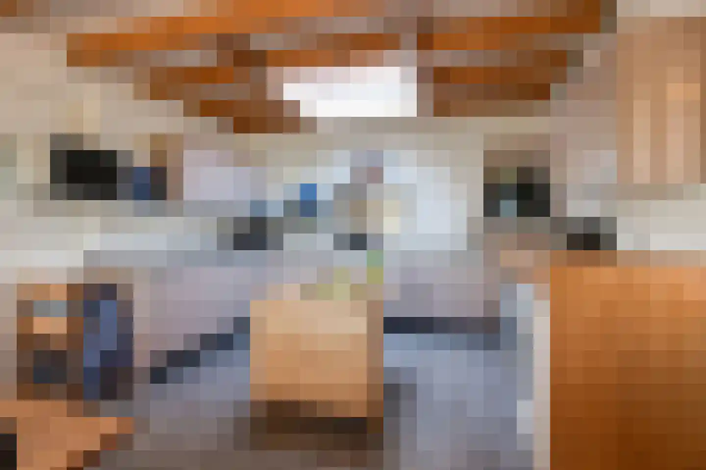 Lekdijk West 17 Wijk bij Duurstede thumbnail 32