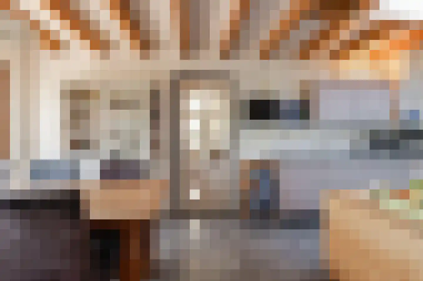 Lekdijk West 17 Wijk bij Duurstede thumbnail 33