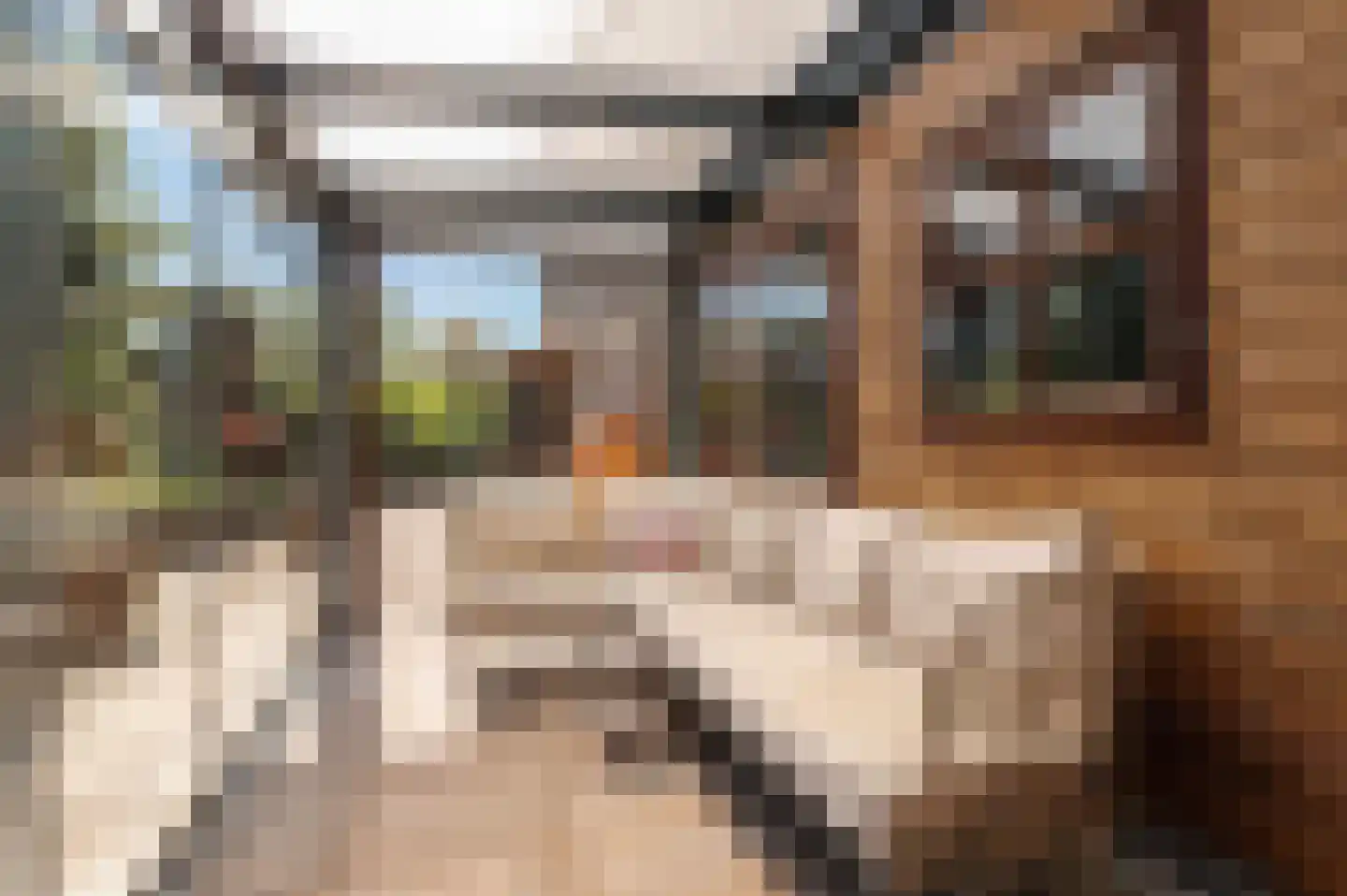Lekdijk West 17 Wijk bij Duurstede thumbnail 36