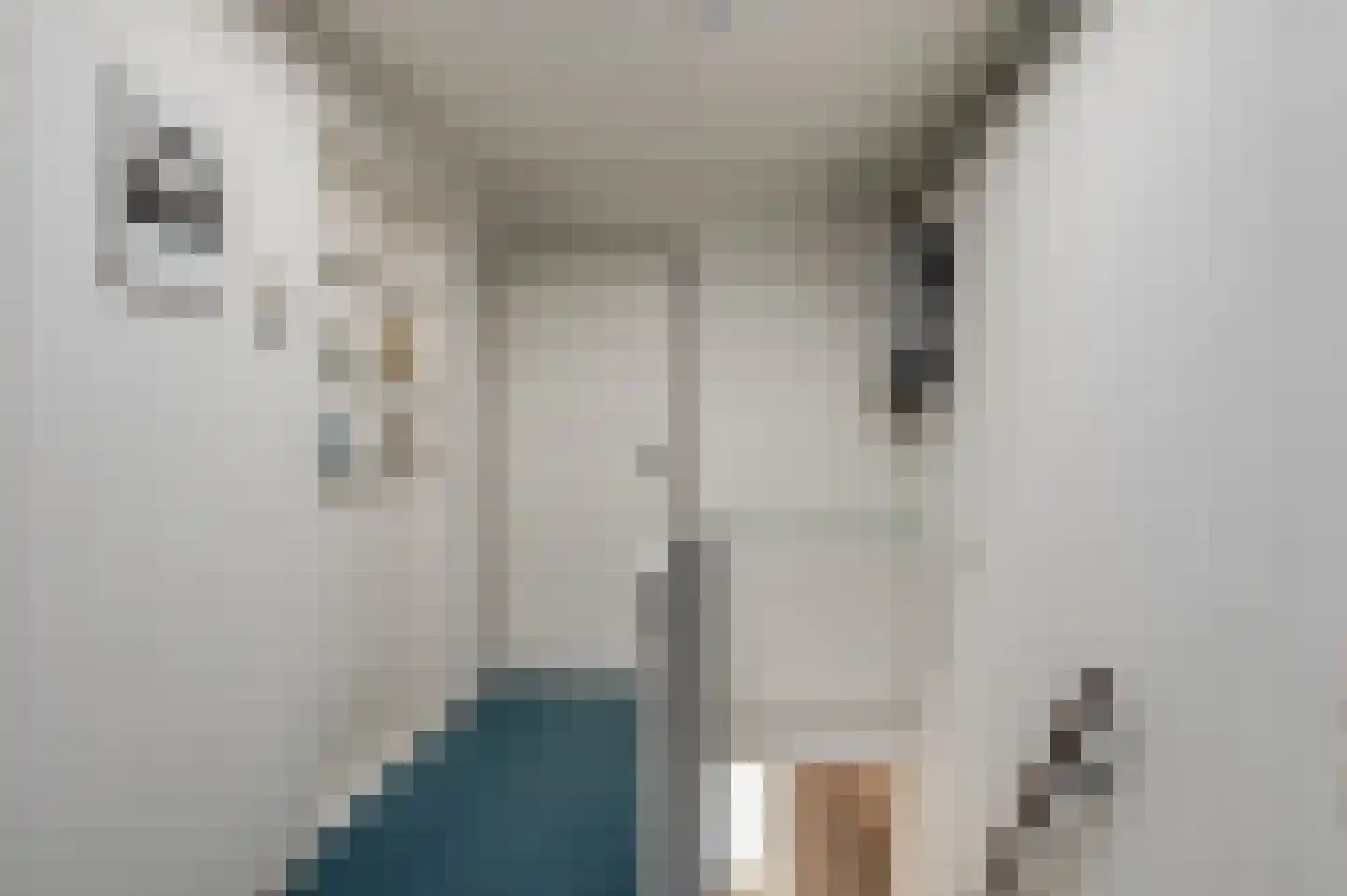 Lekdijk West 17 Wijk bij Duurstede thumbnail 43