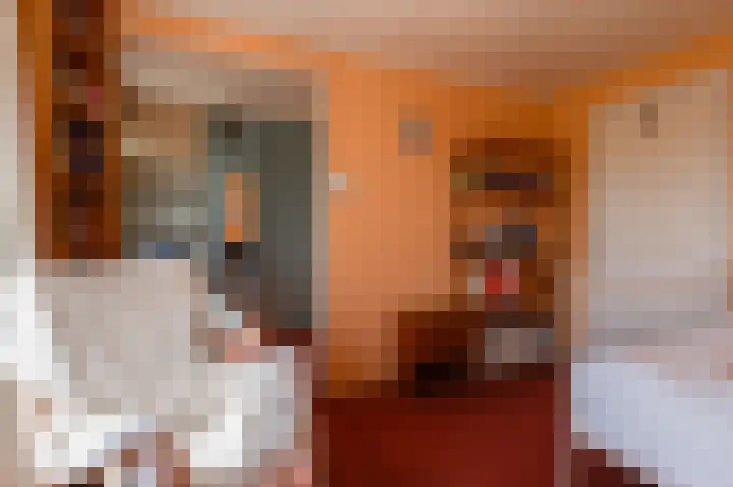 Lekdijk West 17 Wijk bij Duurstede thumbnail 51