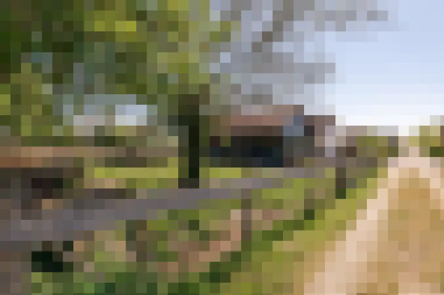 Lekdijk West 17 Wijk bij Duurstede thumbnail 58