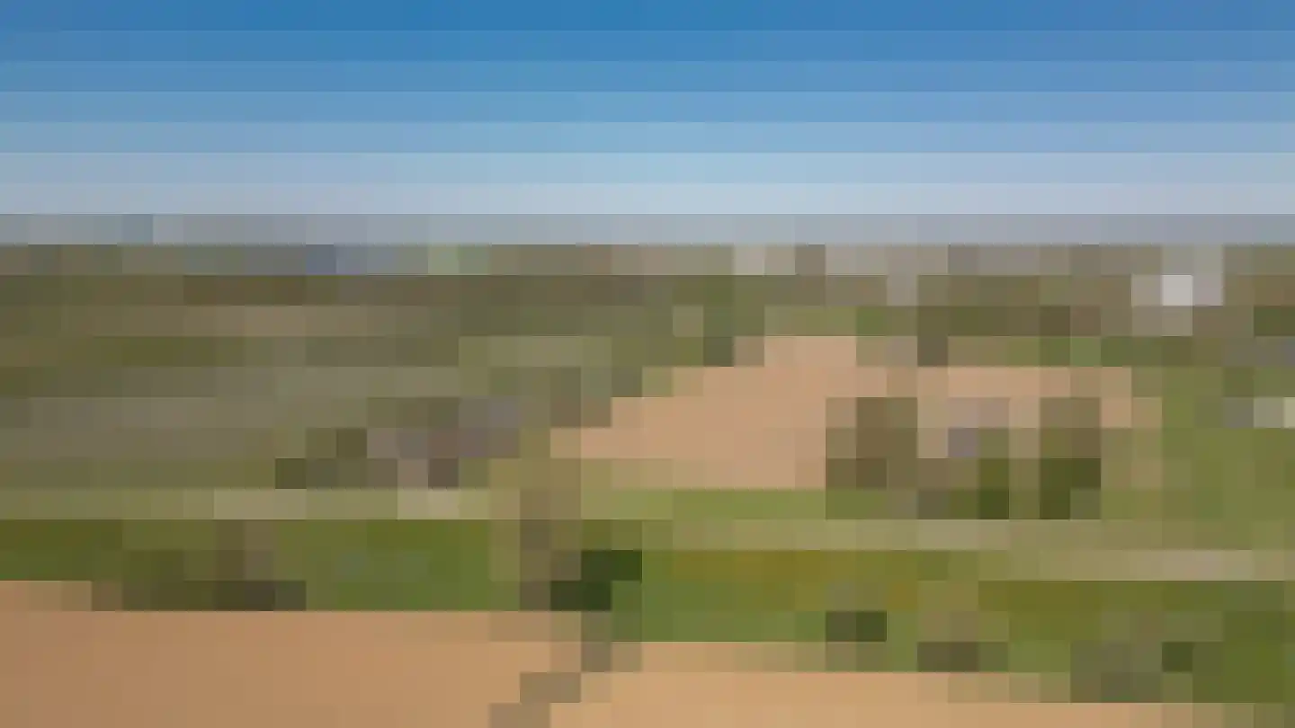 Lekdijk West 17 Wijk bij Duurstede thumbnail 59
