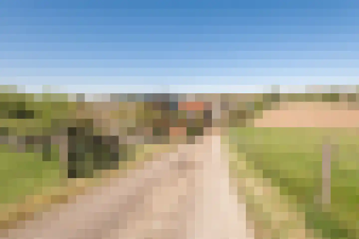 Lekdijk West 17 Wijk bij Duurstede thumbnail 6