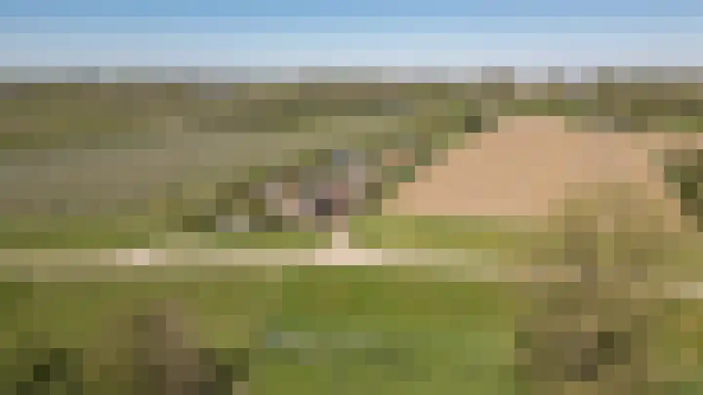 Lekdijk West 17 Wijk bij Duurstede thumbnail 60