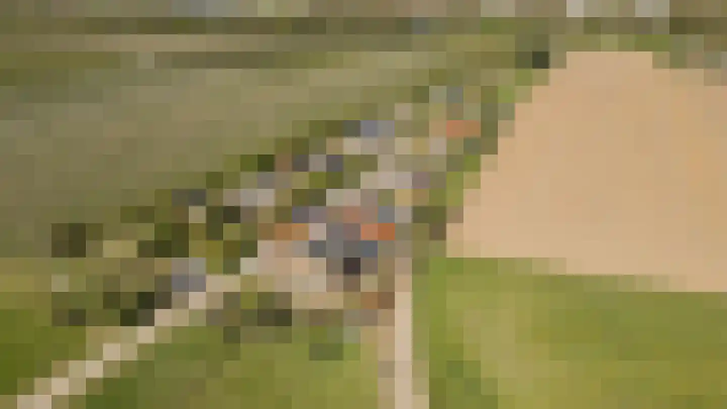 Lekdijk West 17 Wijk bij Duurstede thumbnail 62