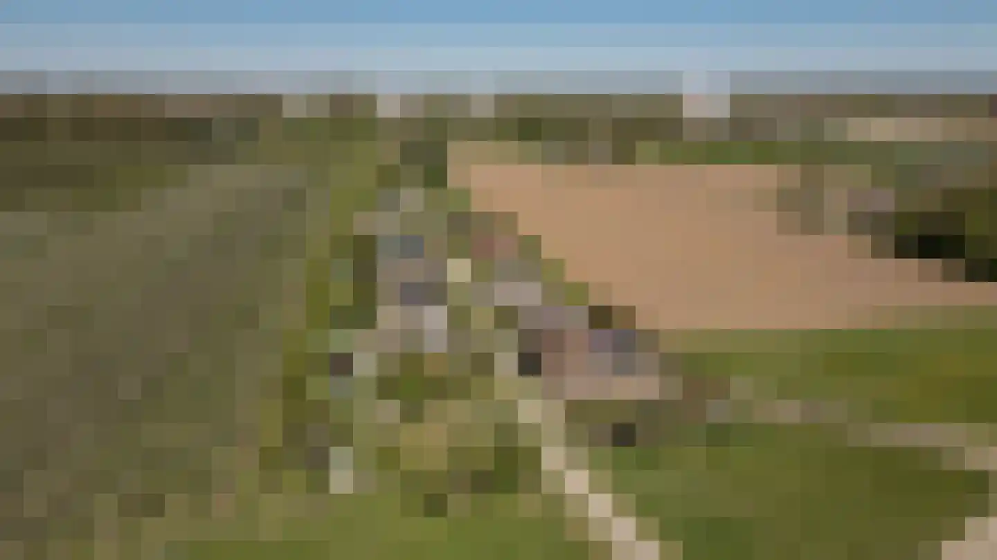 Lekdijk West 17 Wijk bij Duurstede thumbnail 63