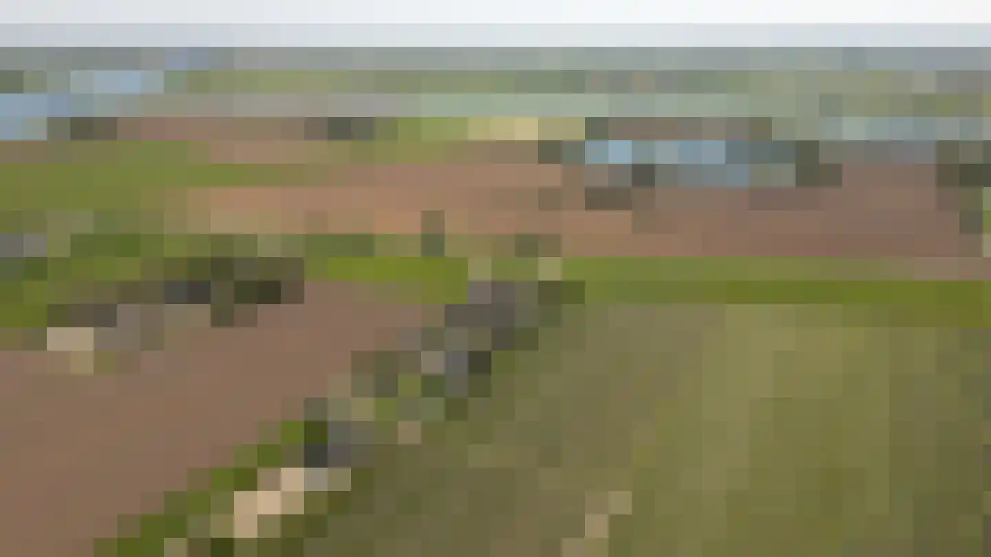 Lekdijk West 17 Wijk bij Duurstede thumbnail 64