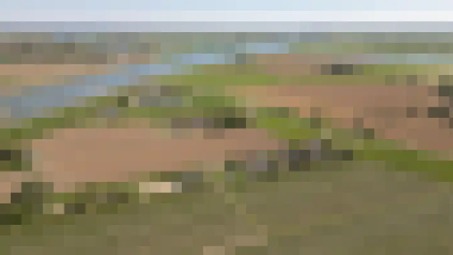 Lekdijk West 17 Wijk bij Duurstede thumbnail 65