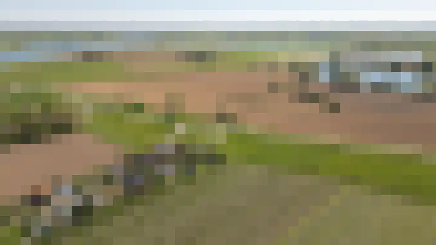 Lekdijk West 17 Wijk bij Duurstede thumbnail 66