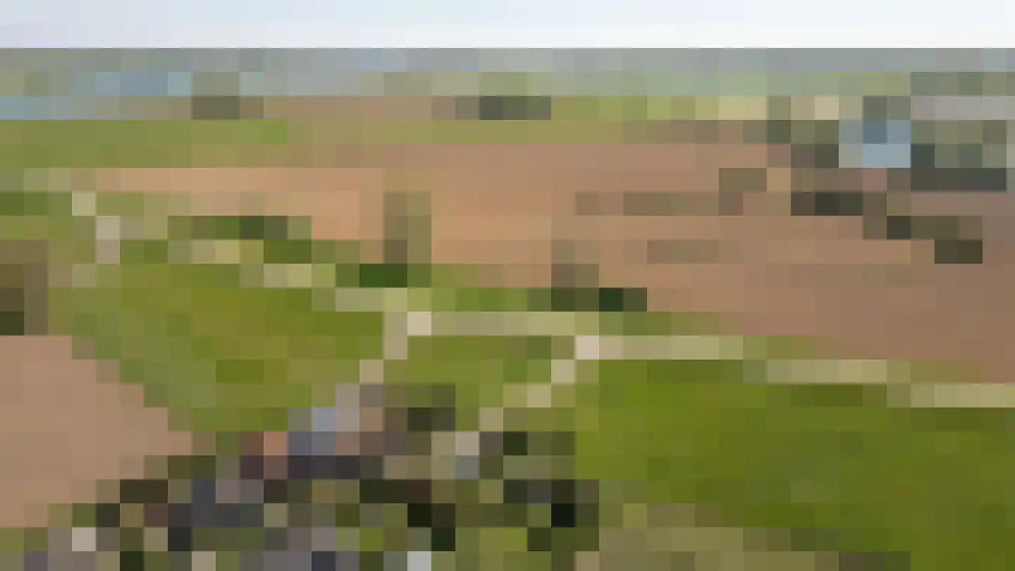 Lekdijk West 17 Wijk bij Duurstede thumbnail 67