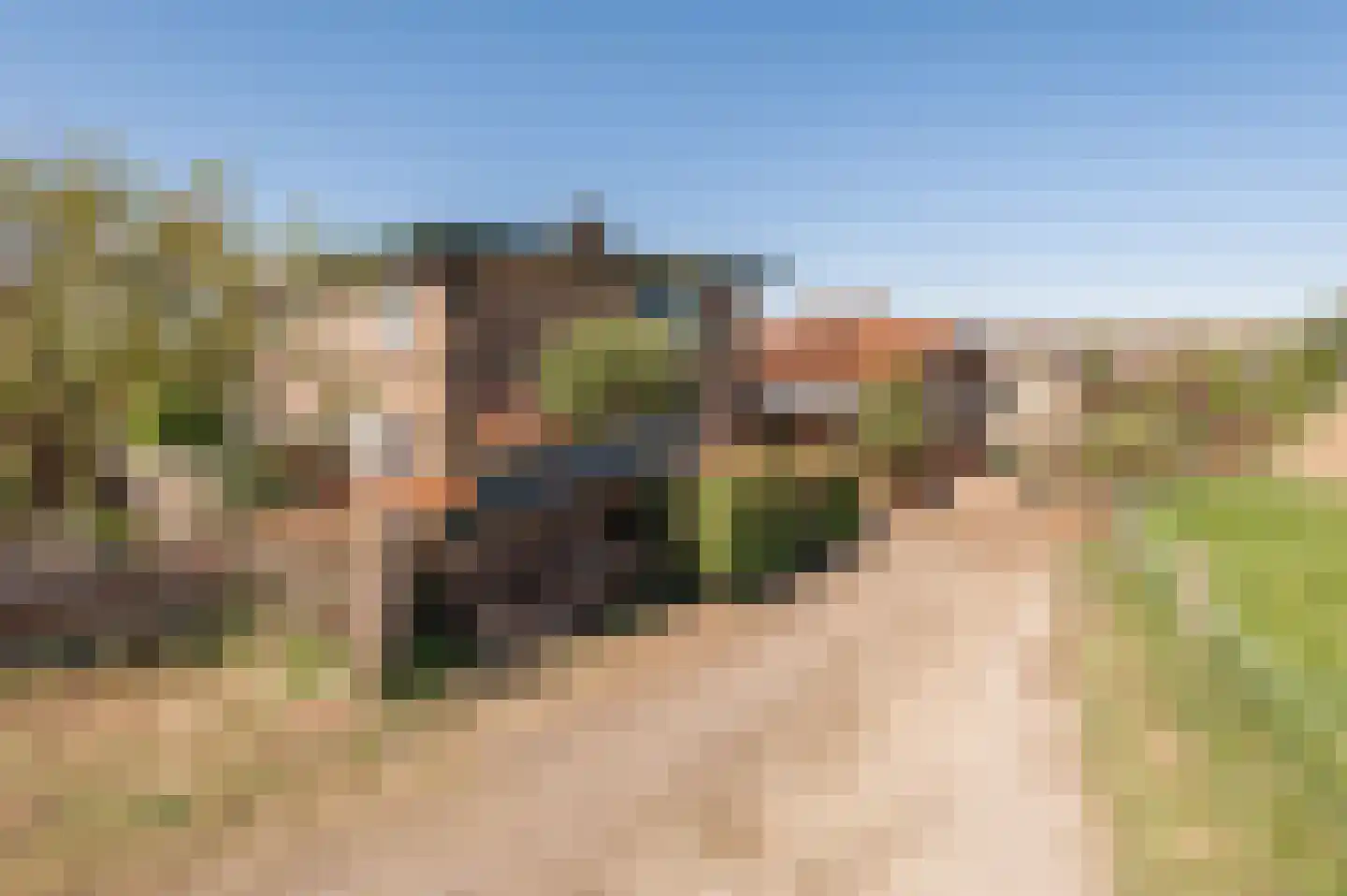 Lekdijk West 17 Wijk bij Duurstede thumbnail 8