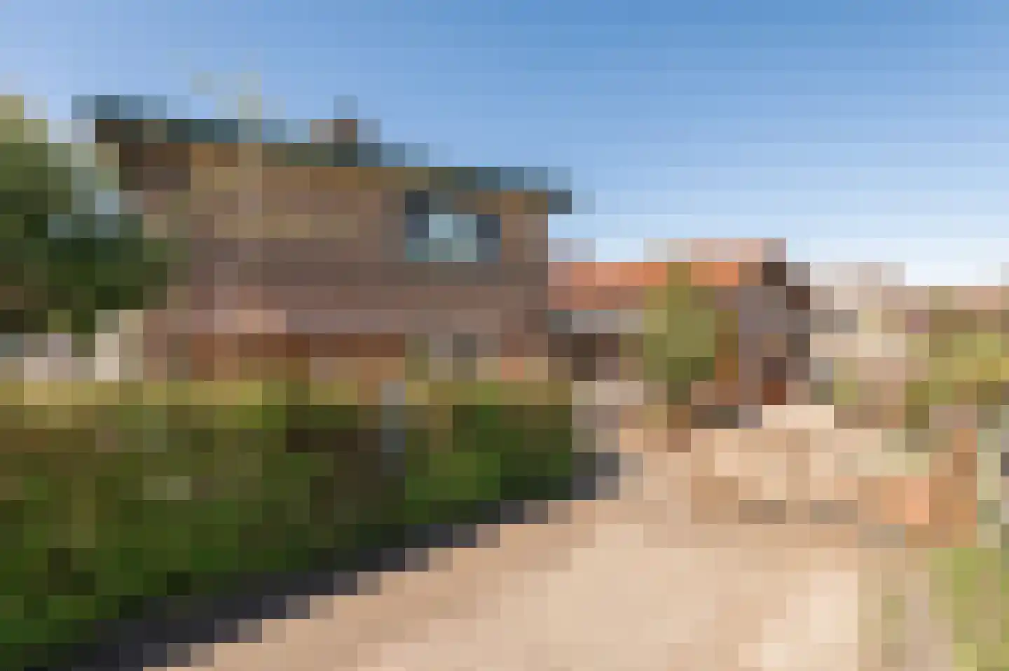 Lekdijk West 17 Wijk bij Duurstede thumbnail 9