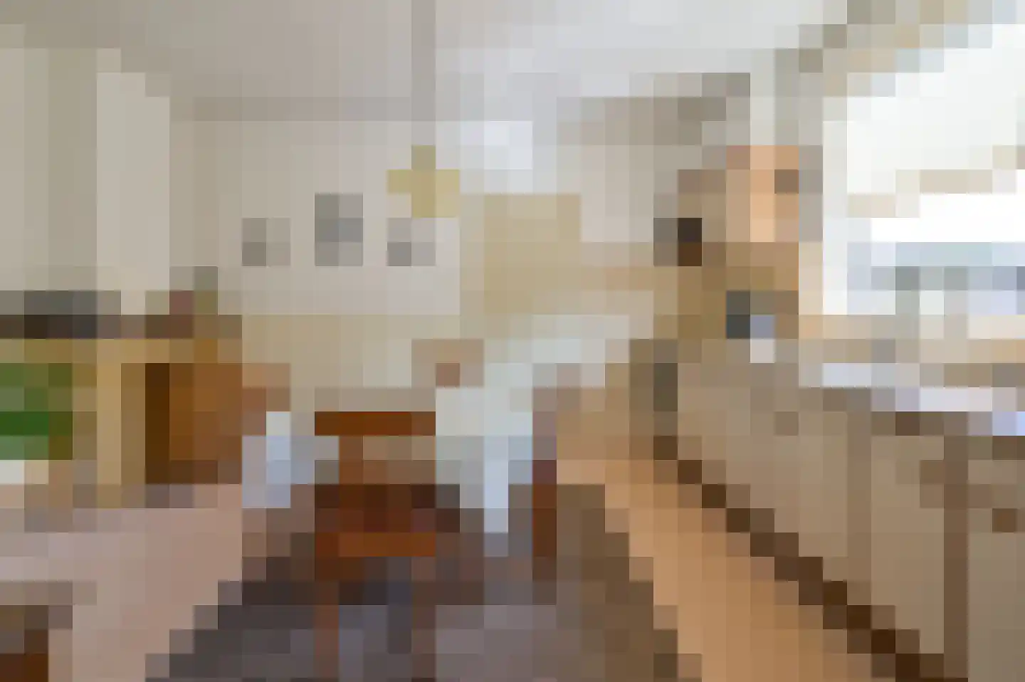 Lekdijk West 47 Wijk bij Duurstede thumbnail 10