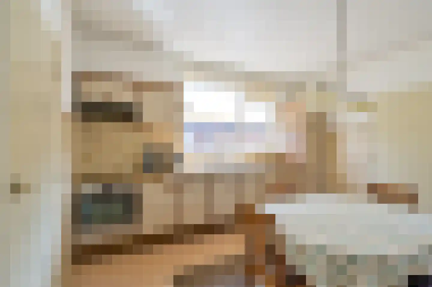 Lekdijk West 47 Wijk bij Duurstede thumbnail 11