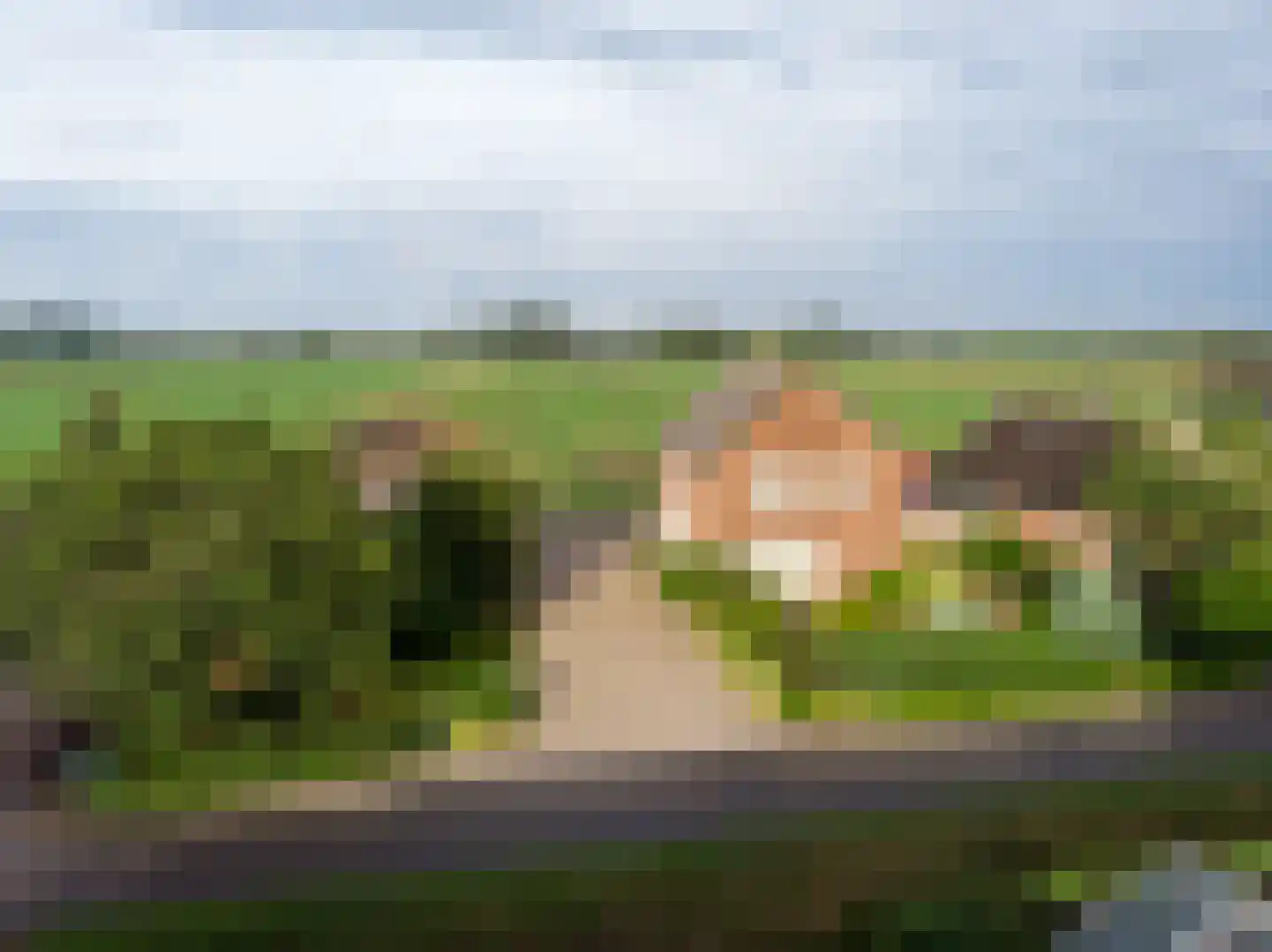 Lekdijk West 47 Wijk bij Duurstede foto 3