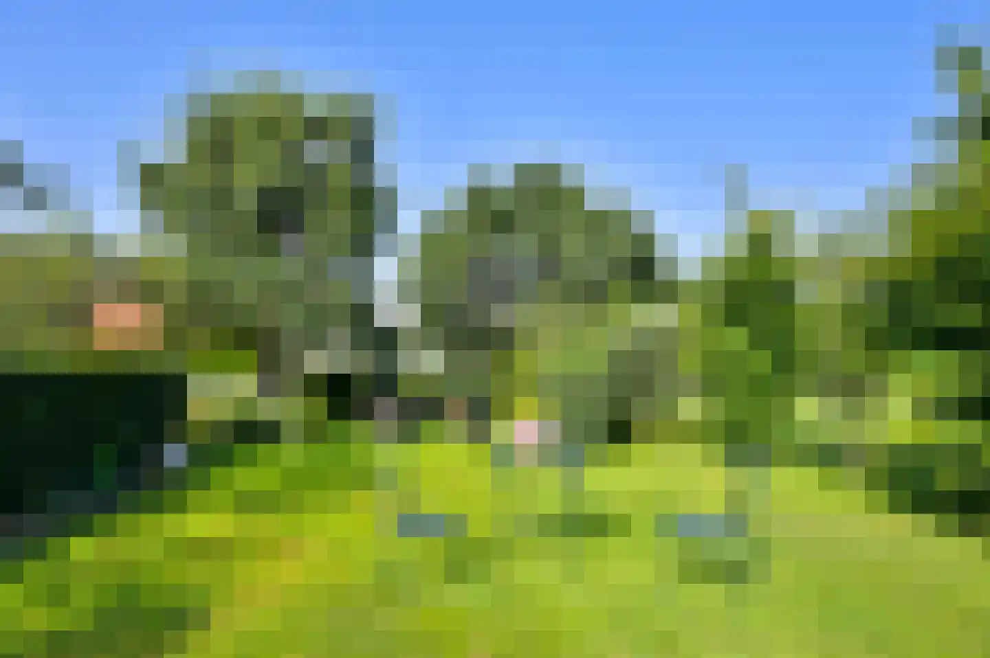 Lekdijk West 47 Wijk bij Duurstede thumbnail 36