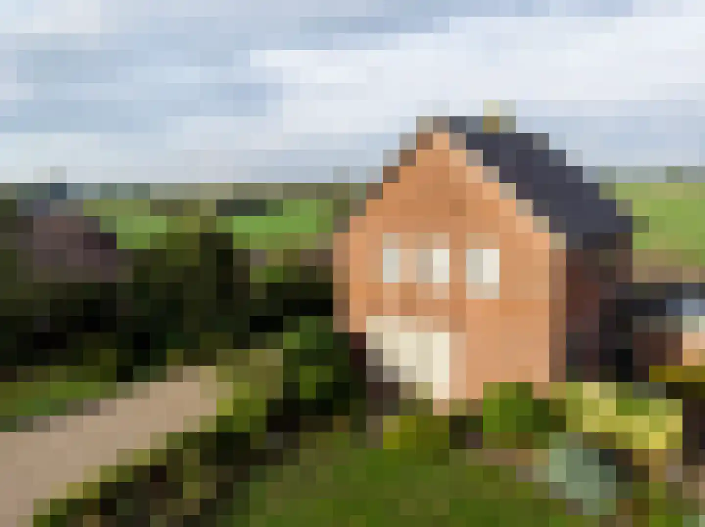 Lekdijk West 47 Wijk bij Duurstede thumbnail 39