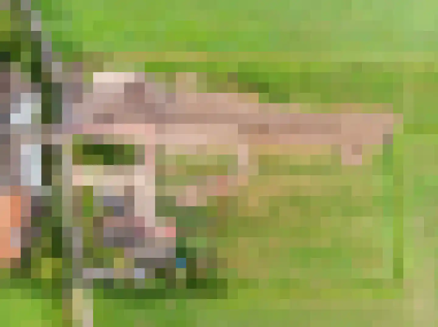 Lekdijk West 47 Wijk bij Duurstede thumbnail 42