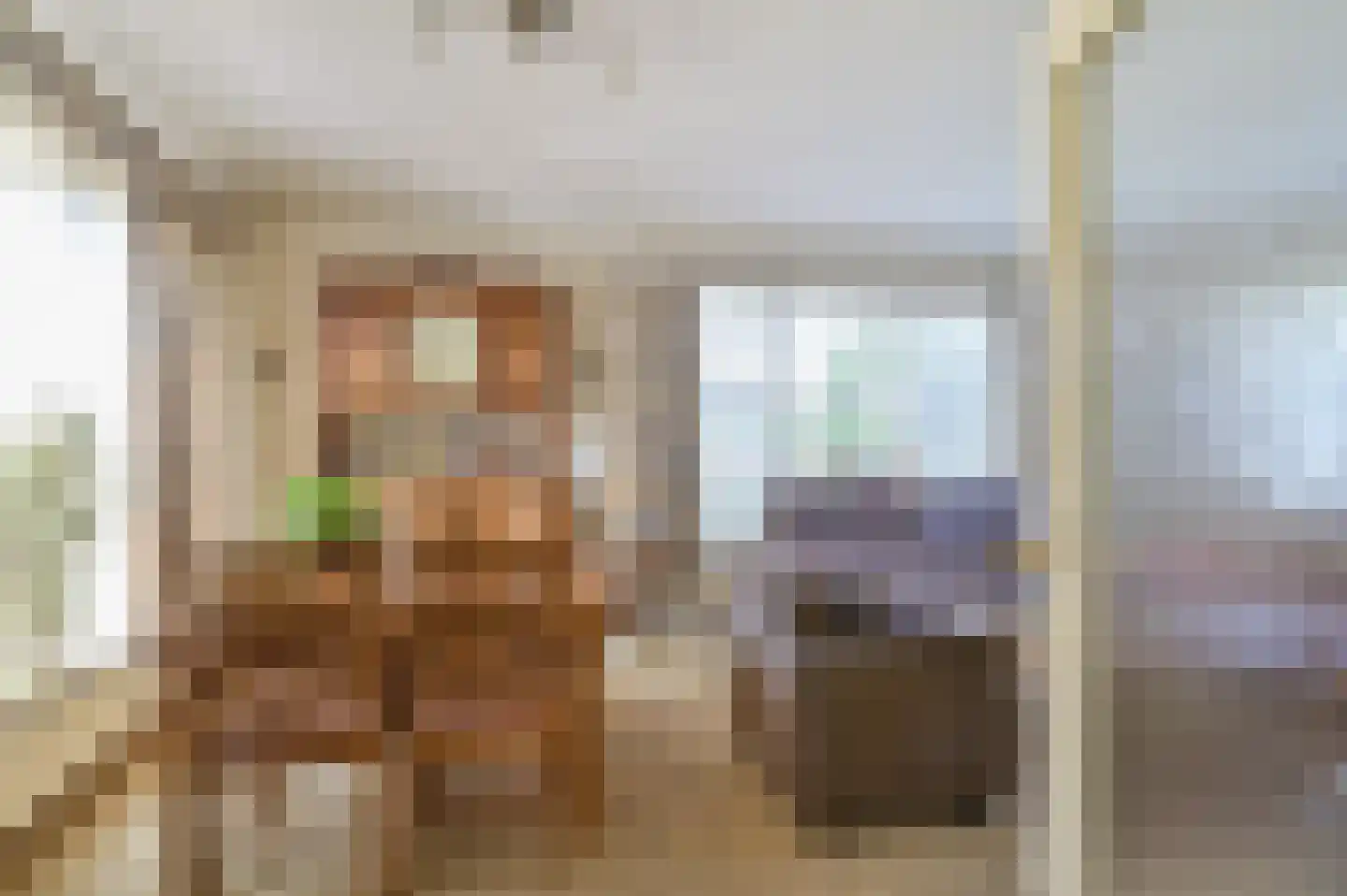 Lekdijk West 47 Wijk bij Duurstede thumbnail 6