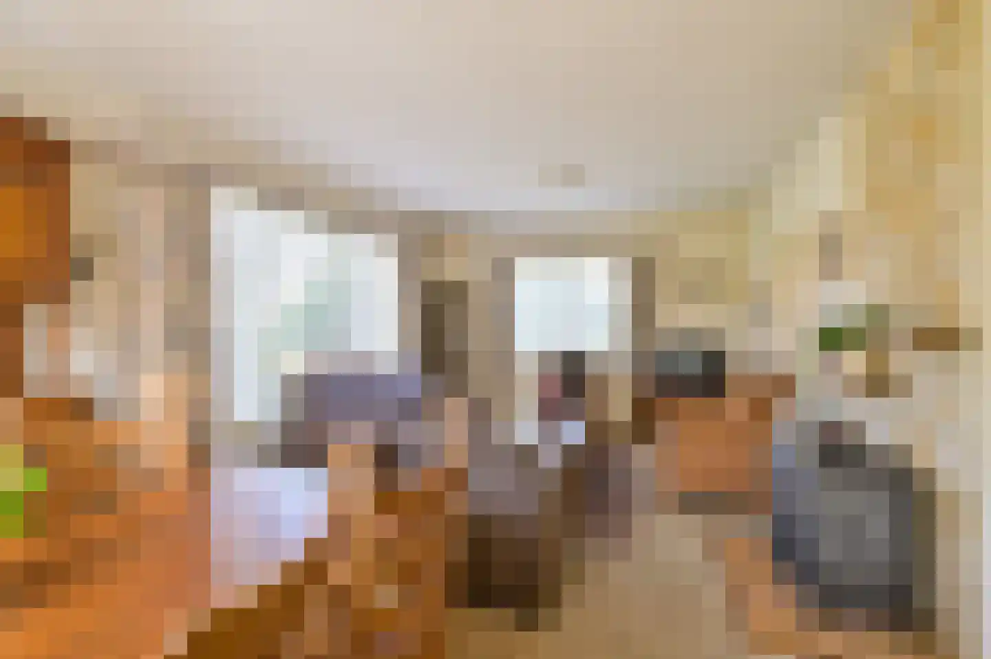 Lekdijk West 47 Wijk bij Duurstede thumbnail 7