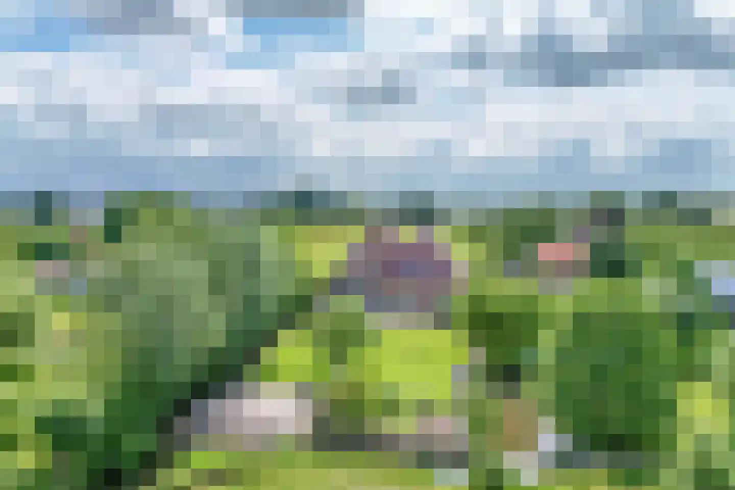 Lekdijk west 80 Lopik thumbnail 4