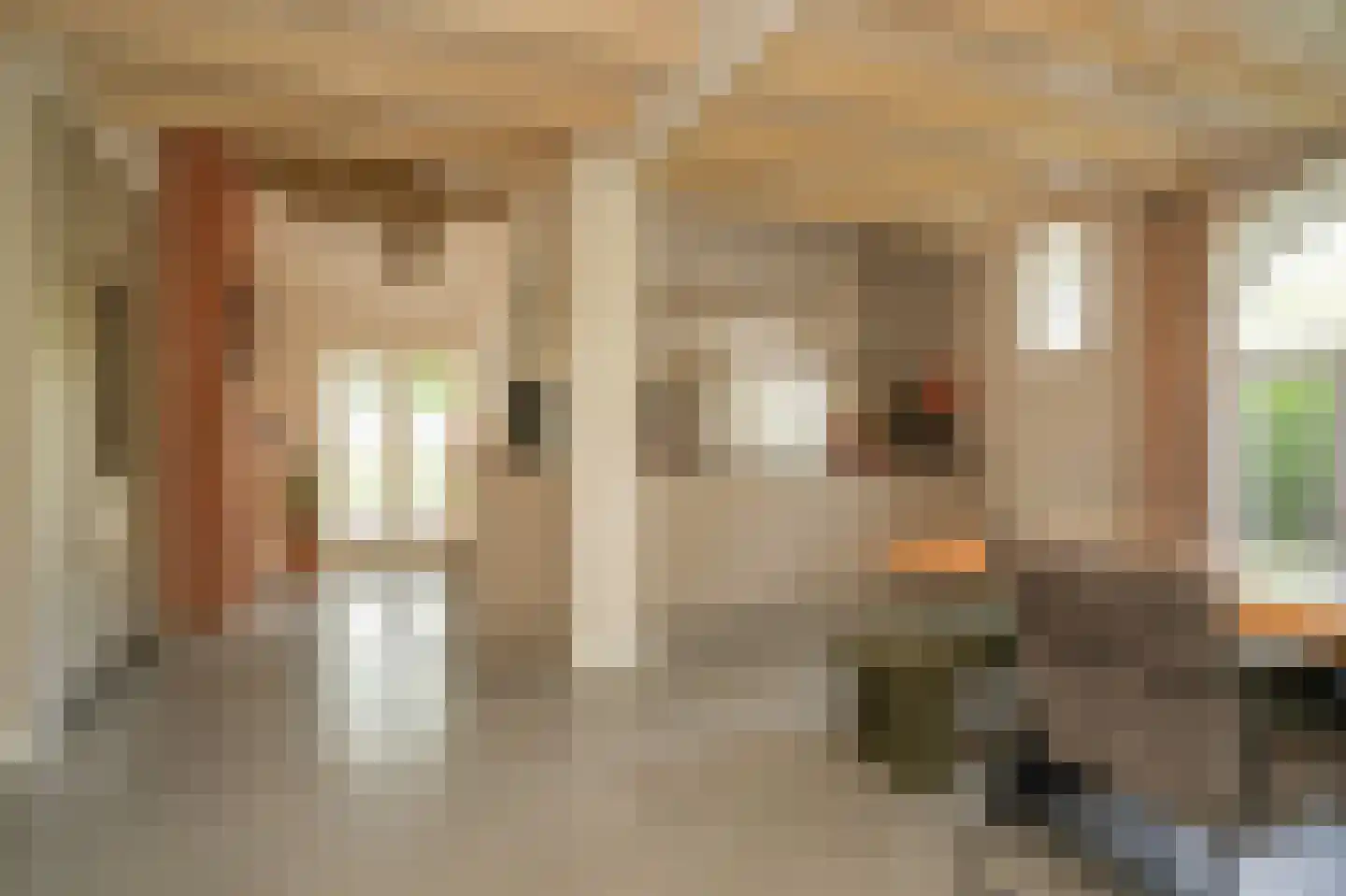 Lekdijk West 9 Beusichem thumbnail 10