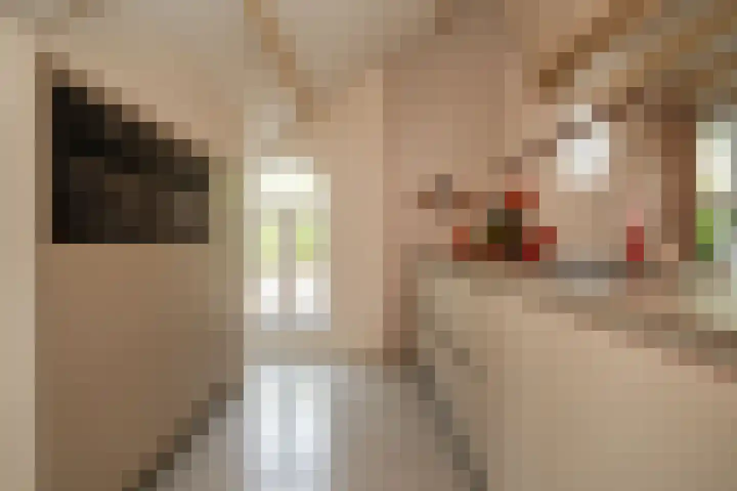 Lekdijk West 9 Beusichem thumbnail 11