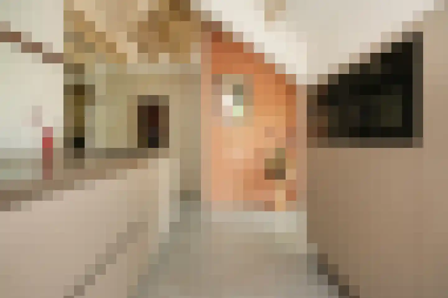 Lekdijk West 9 Beusichem thumbnail 13