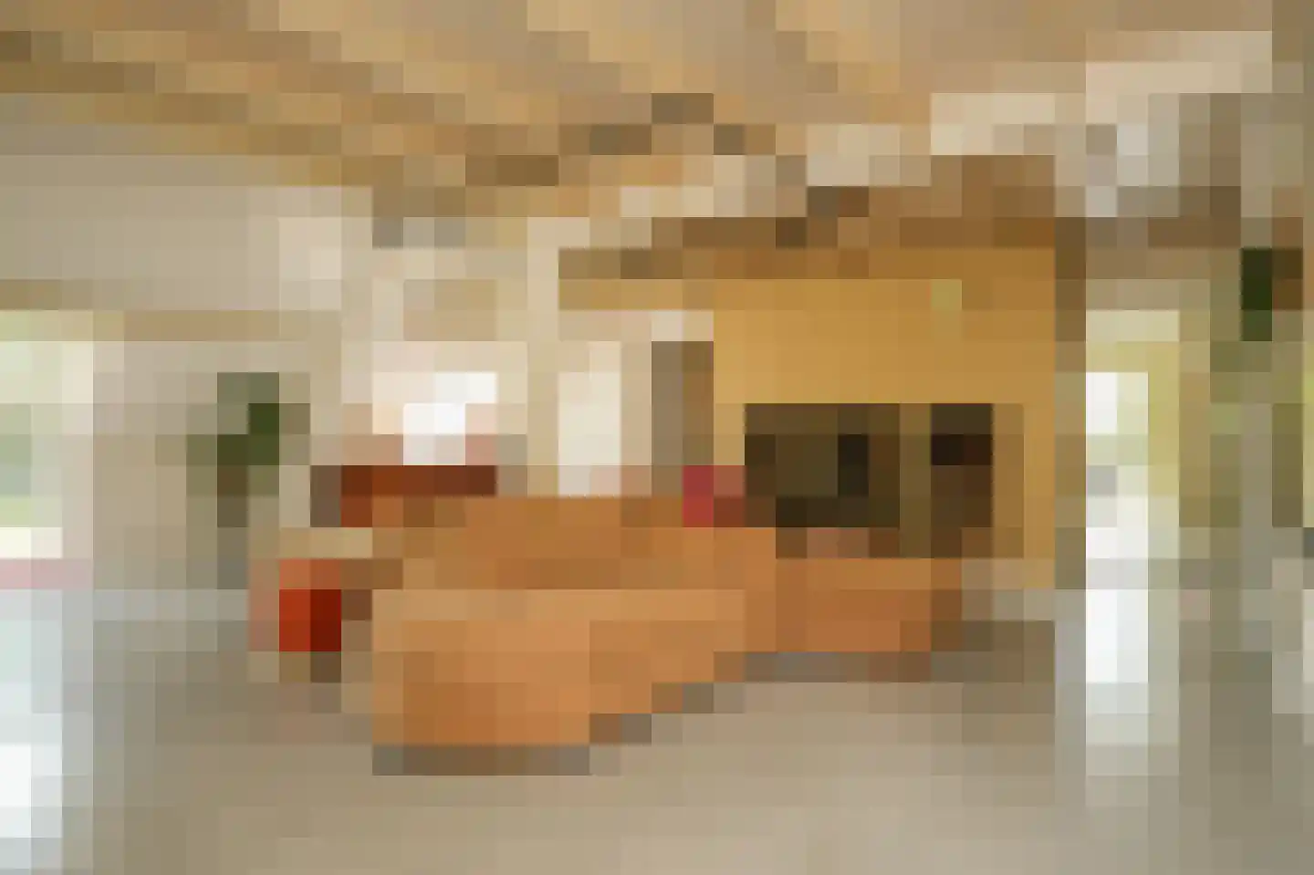 Lekdijk West 9 Beusichem thumbnail 17