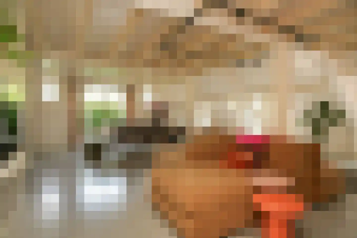 Lekdijk West 9 Beusichem thumbnail 18