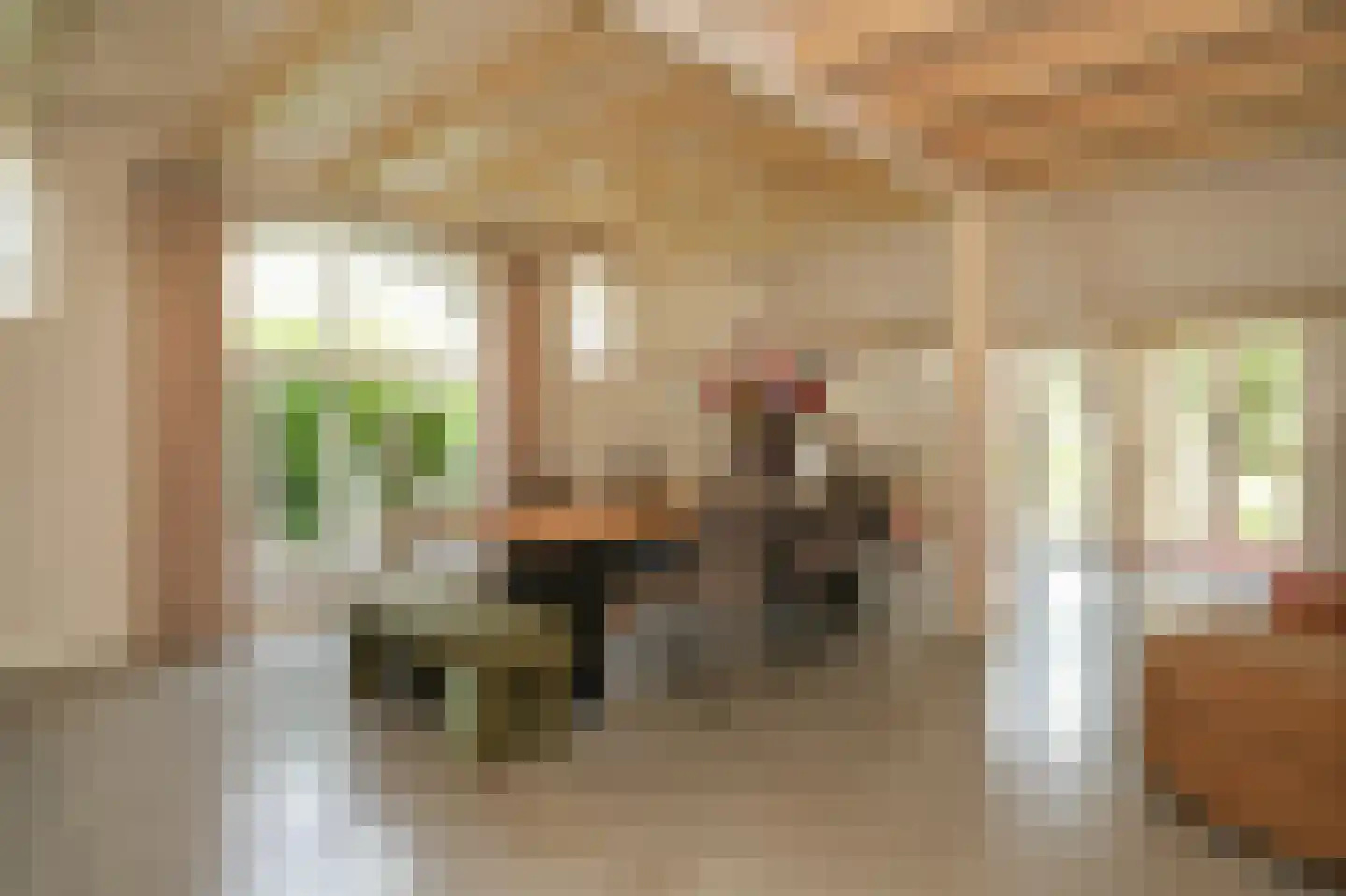 Lekdijk West 9 Beusichem thumbnail 19