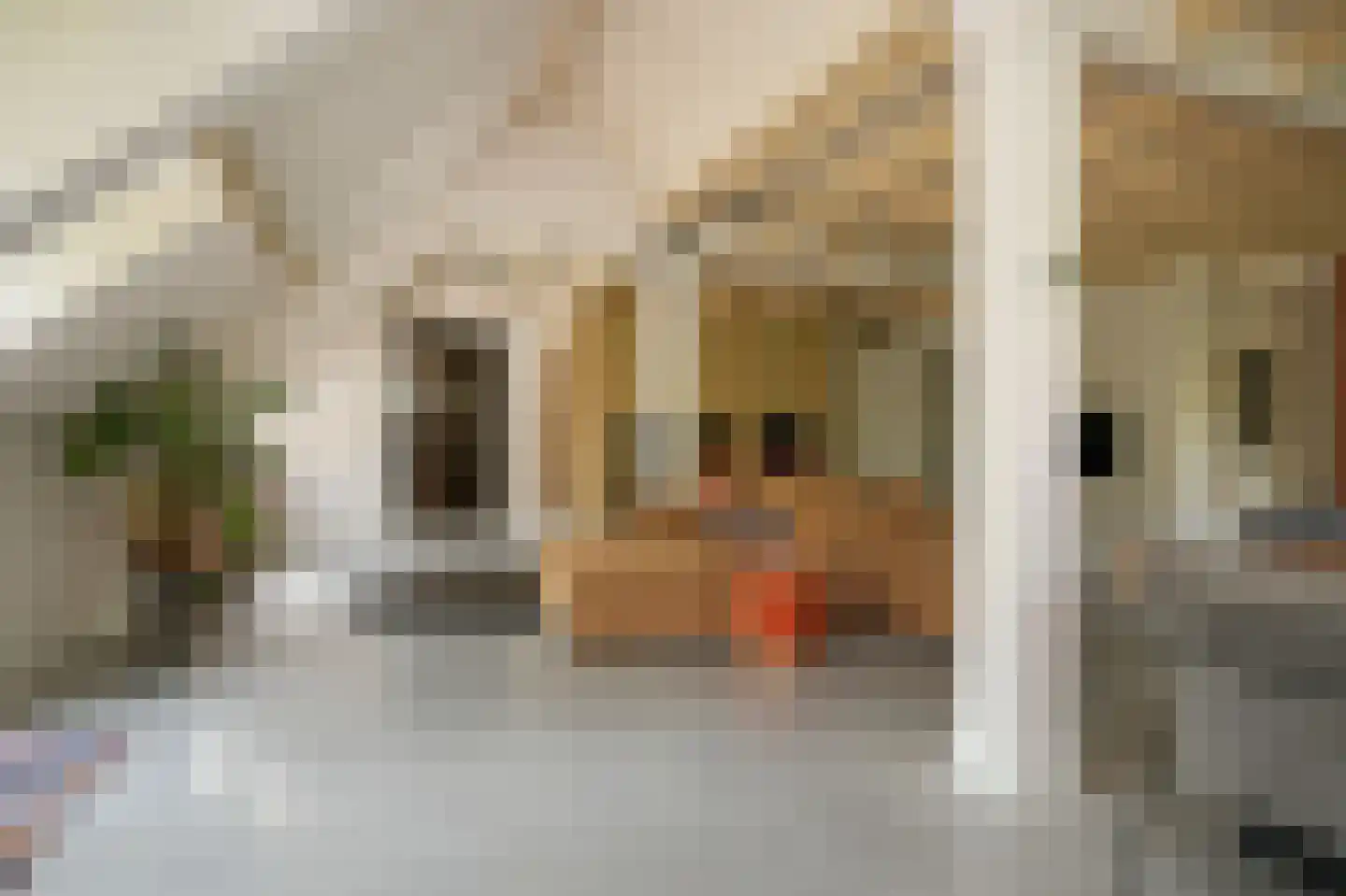 Lekdijk West 9 Beusichem thumbnail 20