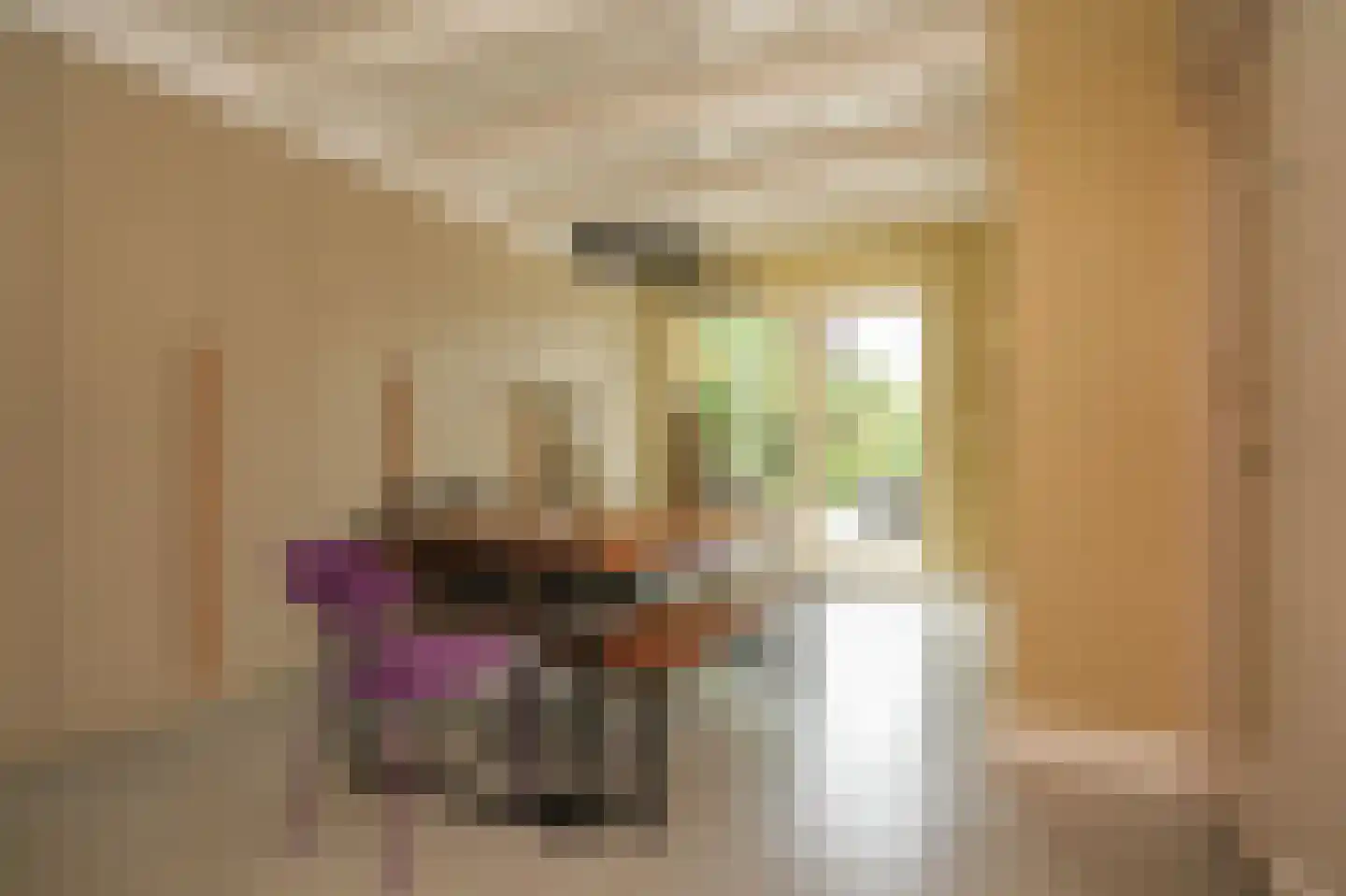 Lekdijk West 9 Beusichem thumbnail 22