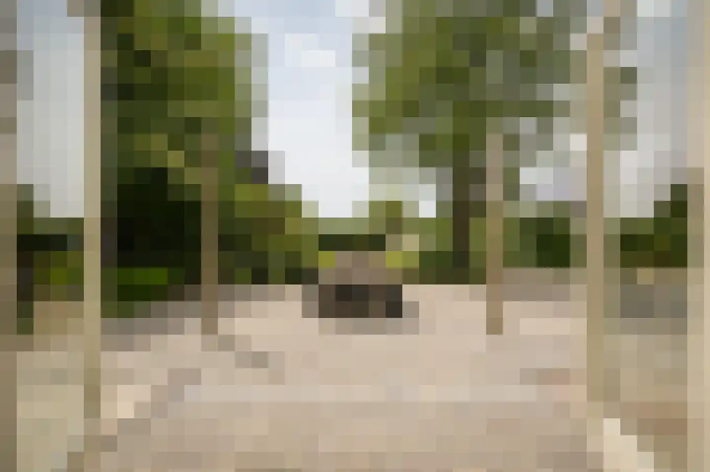 Lekdijk West 9 Beusichem thumbnail 23