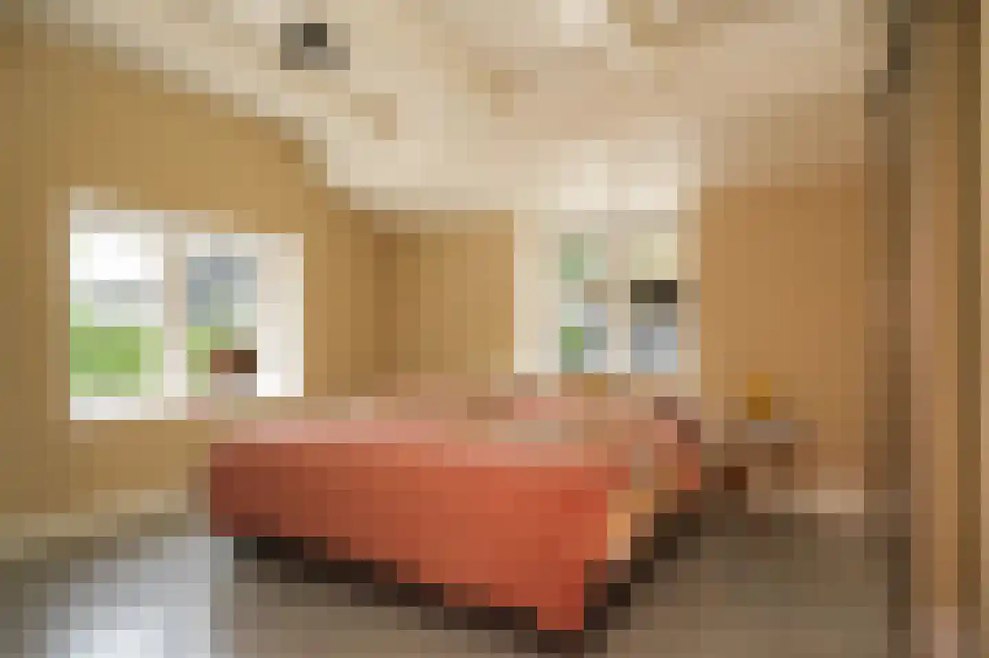 Lekdijk West 9 Beusichem thumbnail 26