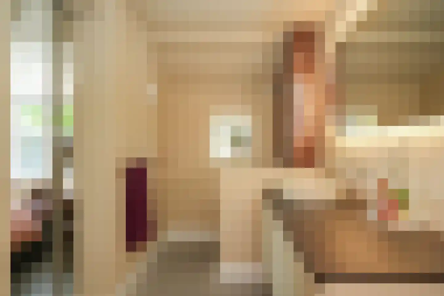 Lekdijk West 9 Beusichem thumbnail 31
