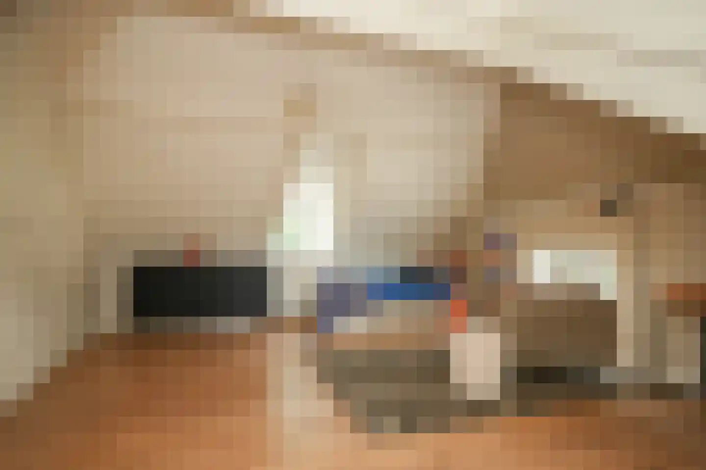 Lekdijk West 9 Beusichem thumbnail 38