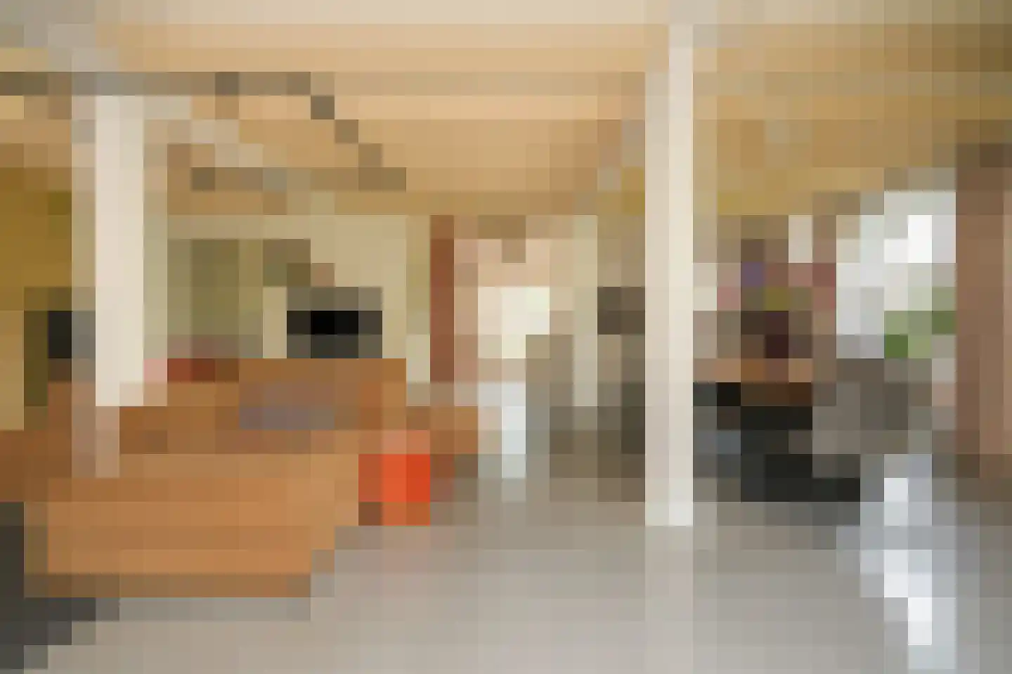 Lekdijk West 9 Beusichem thumbnail 4