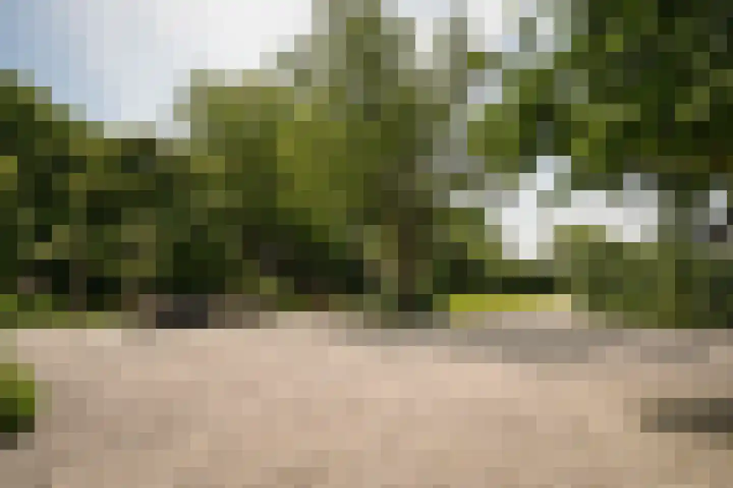 Lekdijk West 9 Beusichem thumbnail 44