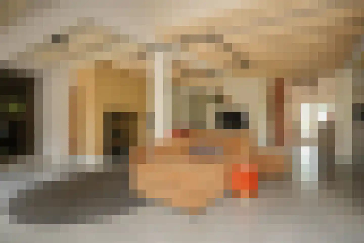 Lekdijk West 9 Beusichem thumbnail 5