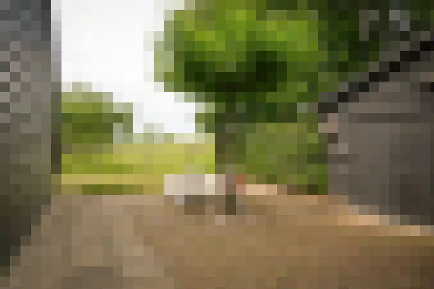 Lekdijk West 9 Beusichem thumbnail 50