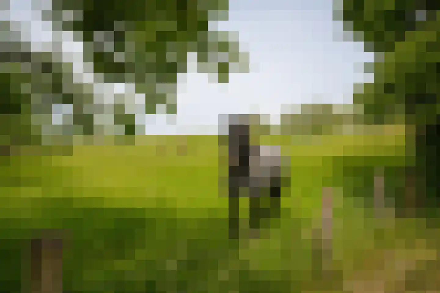 Lekdijk West 9 Beusichem thumbnail 51