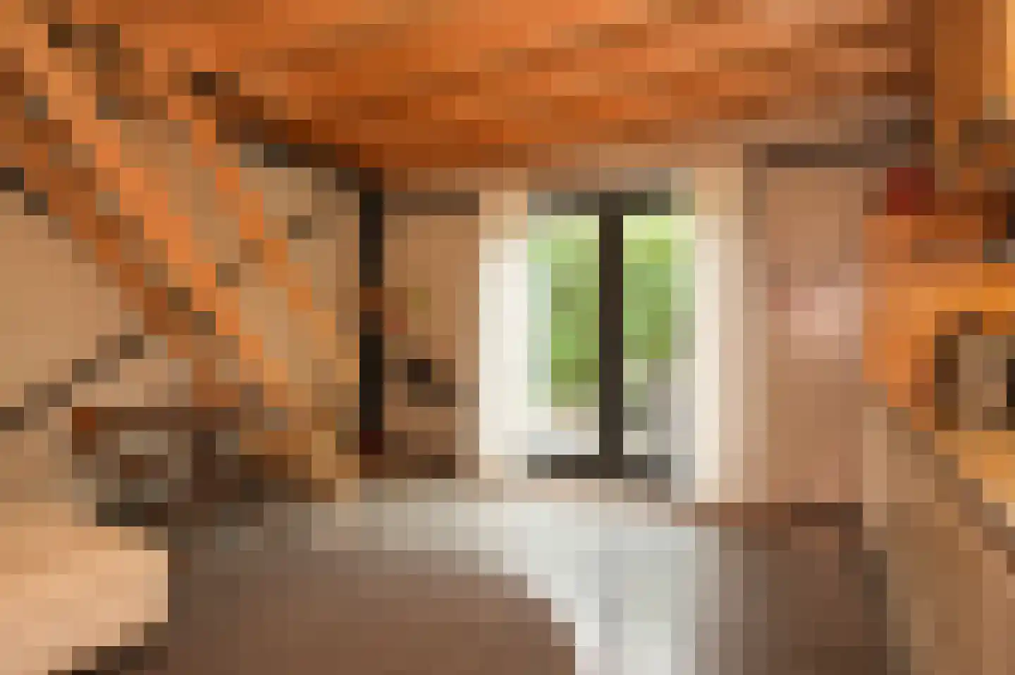 Lekdijk West 9 Beusichem thumbnail 53