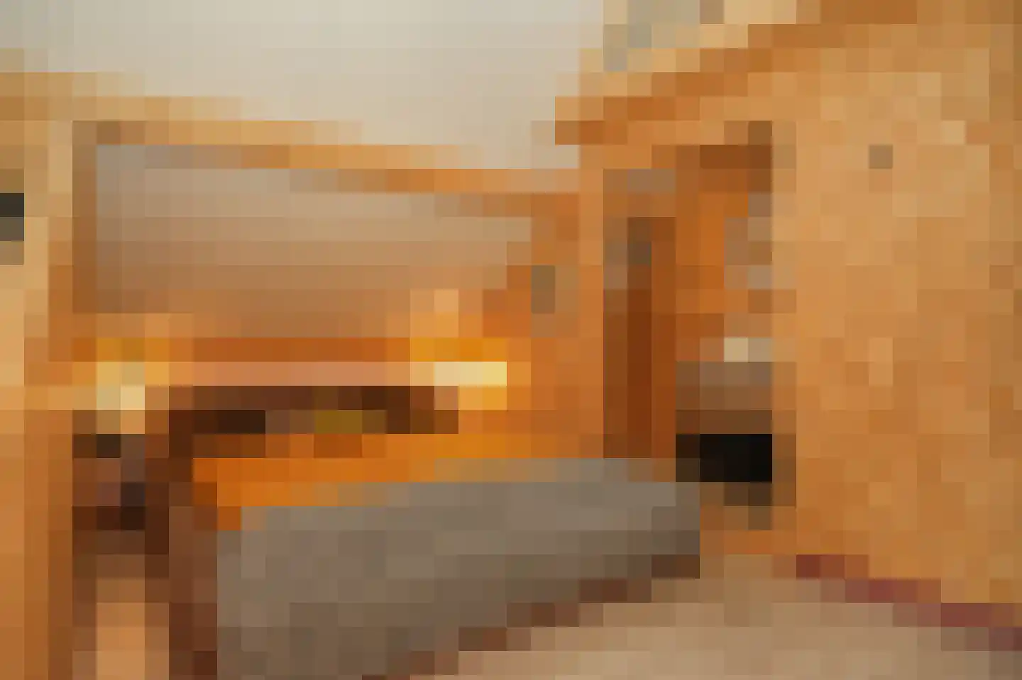 Lekdijk West 9 Beusichem thumbnail 56