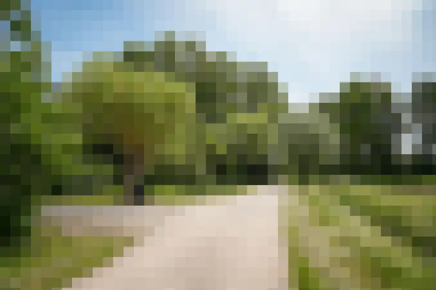 Lekdijk West 9 Beusichem thumbnail 63