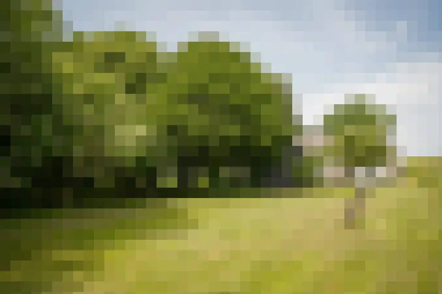 Lekdijk West 9 Beusichem thumbnail 66
