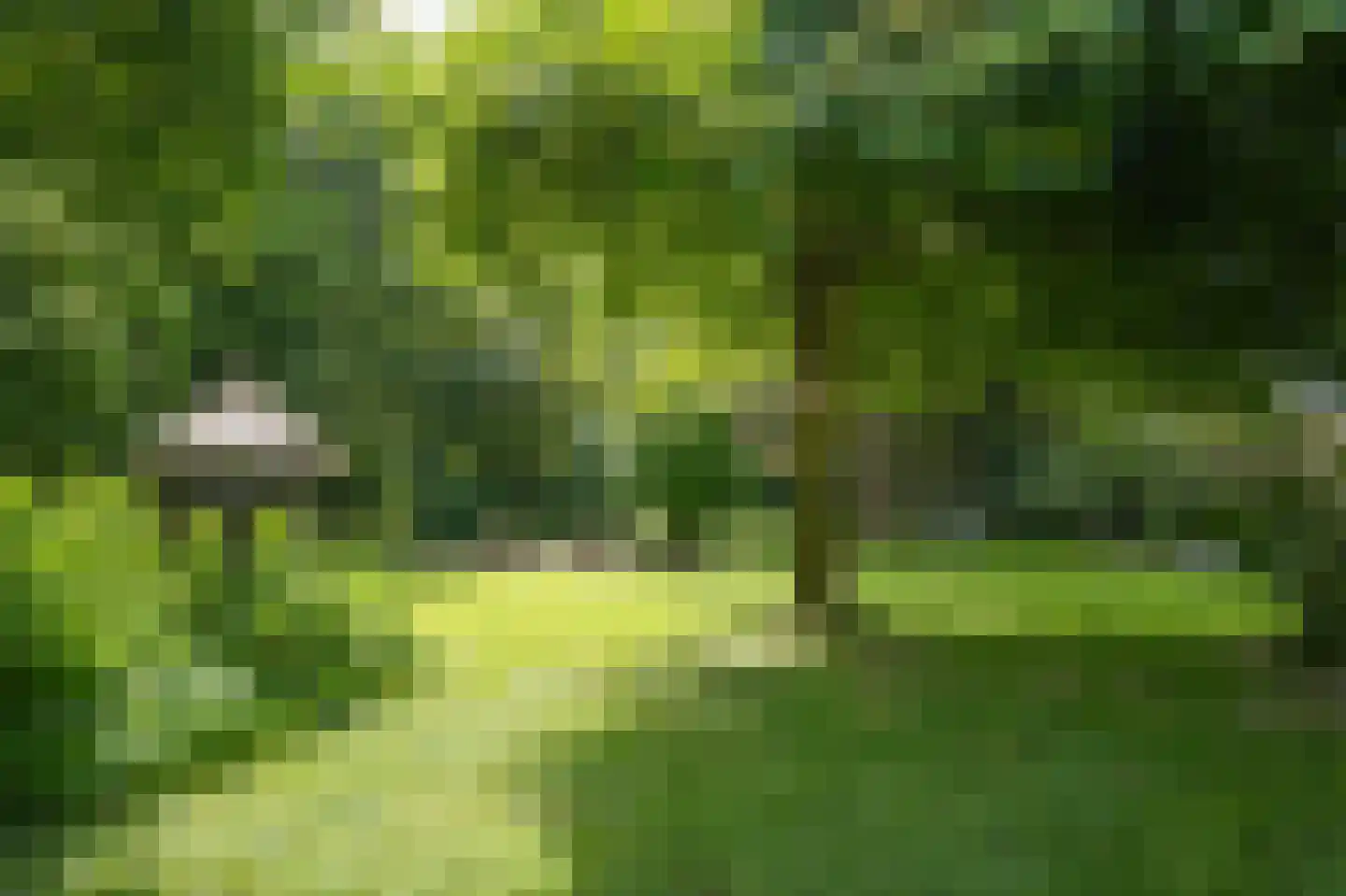 Lekdijk West 9 Beusichem thumbnail 67