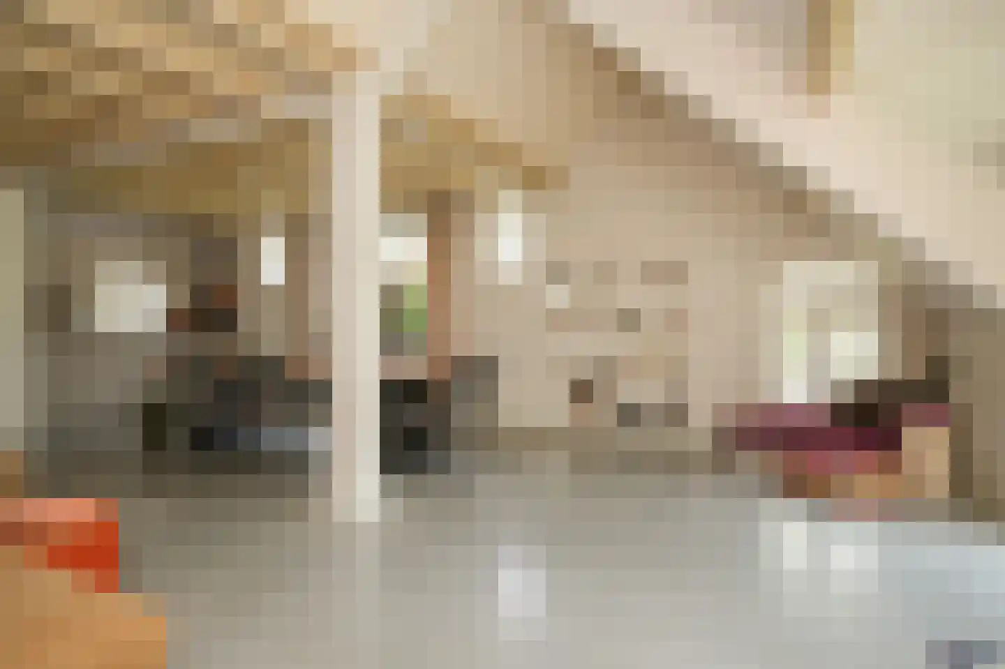 Lekdijk West 9 Beusichem thumbnail 7