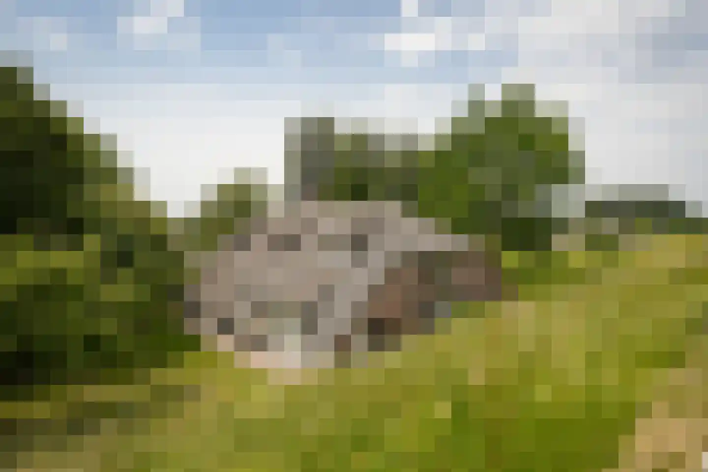 Lekdijk West 9 Beusichem thumbnail 71
